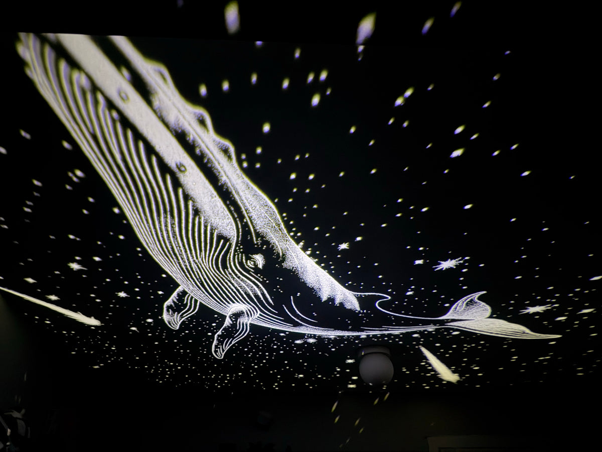 Real photo: whale projected on a ceiling with Lunova Sky