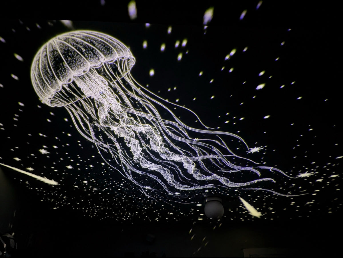Jellyfish projected on a ceiling